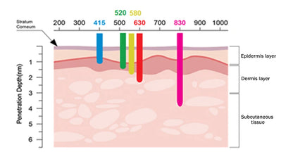 Phoenix Glow LED Face & Neck Mask with 7 lights